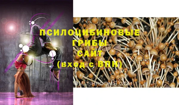 СК Арсеньев