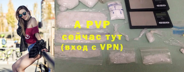 a pvp Аркадак