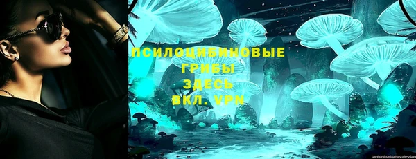 a pvp Аркадак