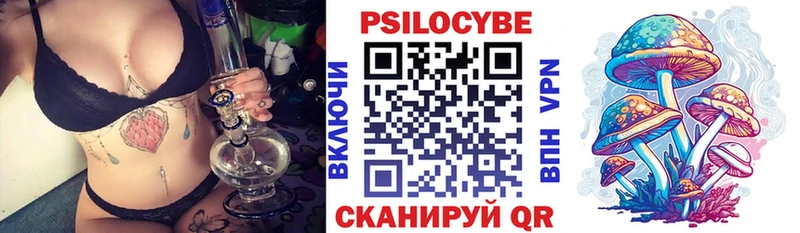 что такое   Светогорск  Галлюциногенные грибы GOLDEN TEACHER 